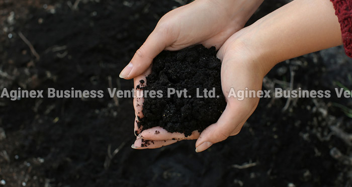 Bio Compost Fertilizer for Plants