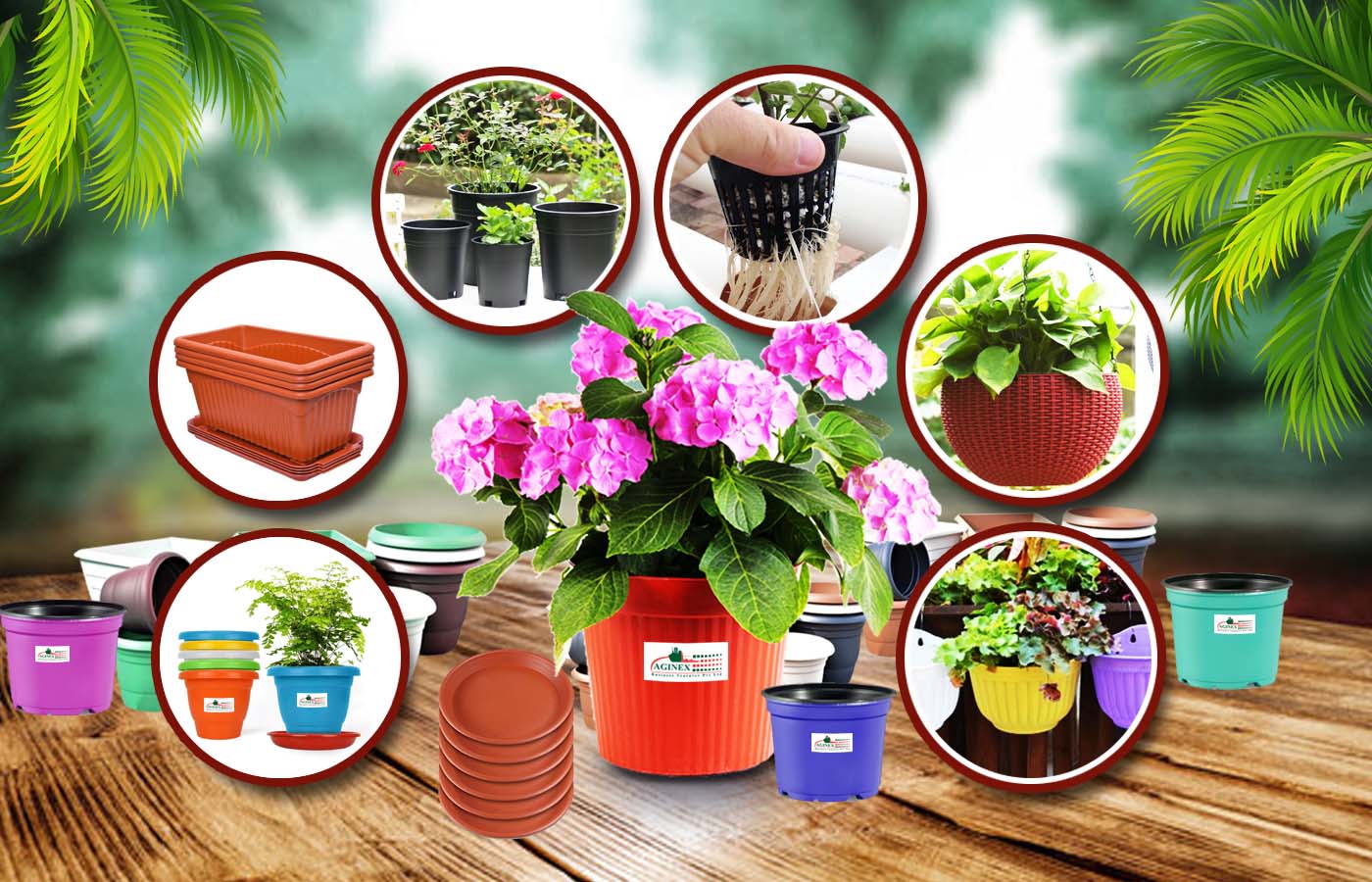 gardening pots and trays near me