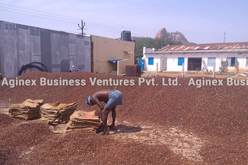 Organic Compost Exporters
